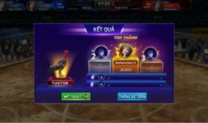 Đá Gà 3D Tại KUBET