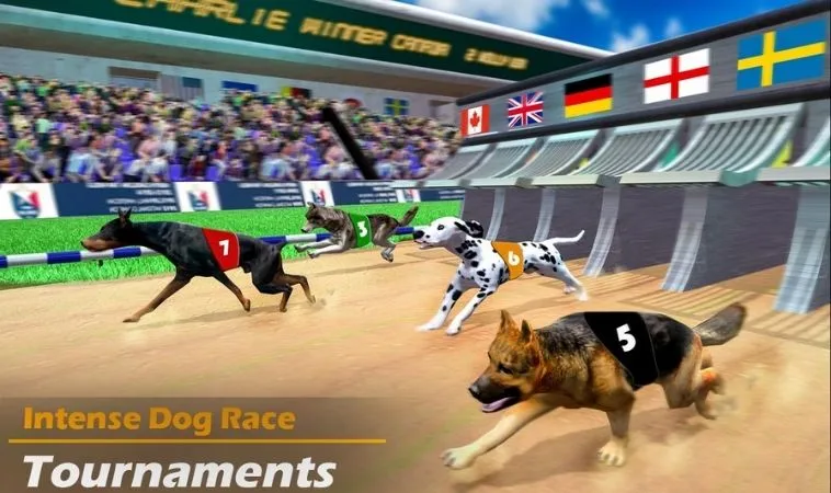 Đồ họa game nhanh Đua Chó Tại KUBET thiết kế sống động