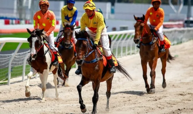Giải Mã Cá Cược Đua Ngựa KUBET Để Rinh Thưởng Hàng Tỷ Đồng 1 đua ngựa KUBET