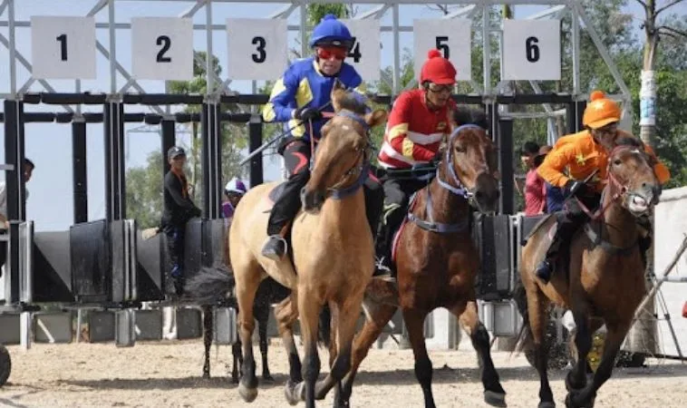 Giải Mã Cá Cược Đua Ngựa KUBET Để Rinh Thưởng Hàng Tỷ Đồng 2 Cần tìm hiểu kỹ về bộ môn đua ngựa KUBET trước khi cá cược